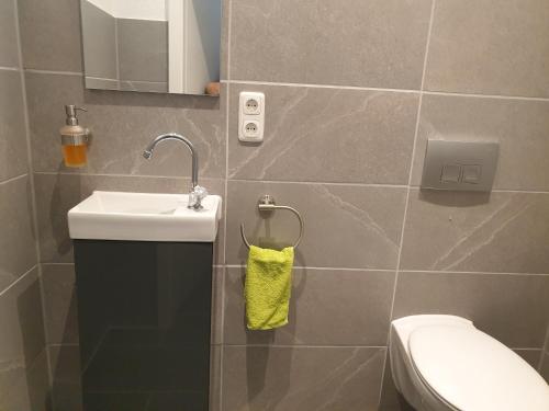 a bathroom with a sink and a toilet at Ferienwohnung Leilas Lodge in Langelsheim