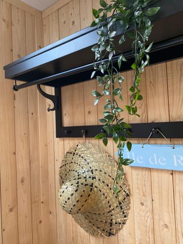 a potted plant hanging from a wall at B & B Simme Zimme in Brasschaat