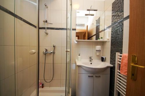 a bathroom with a shower and a sink at Guest Accommodation Slapovi Krke in Lozovac