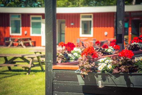 a group of flowers in boxes in front of a building at Danhostel Skanderborg in Skanderborg