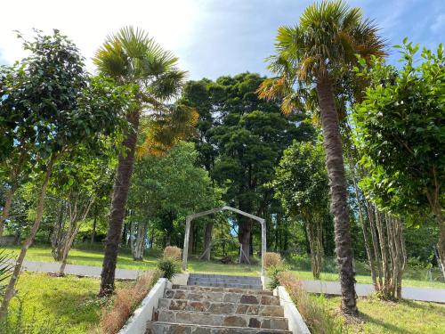 a set of stairs in a park with palm trees at Albergue Mirador de Pedrouzo in O Pedrouzo