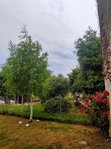 a garden with a fence and a tree and flowers at ALBERGUE CASA BAZTAN in Uterga