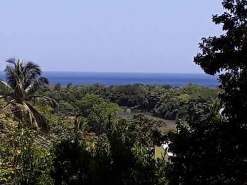a view of the ocean from the jungle at Villa et Gites Le Safran - Le Triskell in Deshaies
