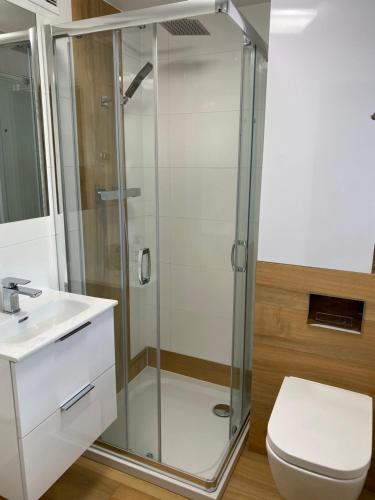 a bathroom with a shower and a toilet and a sink at Apartament Suzyw Kicek in Sucha Beskidzka