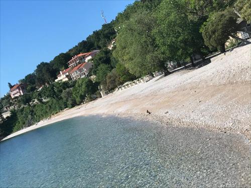New – Foto 5