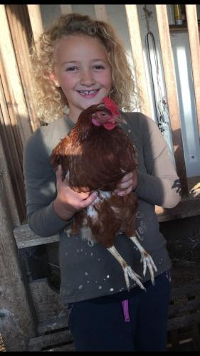 a young girl holding a chicken in her hands at Hof Hintererb in Kitzbühel