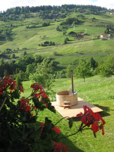 a hot tub in the middle of a green field at La Ferme des Georgières "Séjour en tout compris" in Notre-Dame-de-Bellecombe