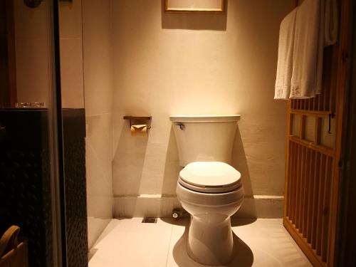 a white toilet in a bathroom with a light at 武当山太和紫隐酒店 in Wudangshan
