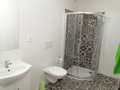 a bathroom with a shower and a toilet and a sink at Penzion Na Farmě in Karle