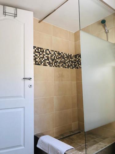 a bathroom with a shower with a glass door at Carla Maria S Hause in Gammertingen