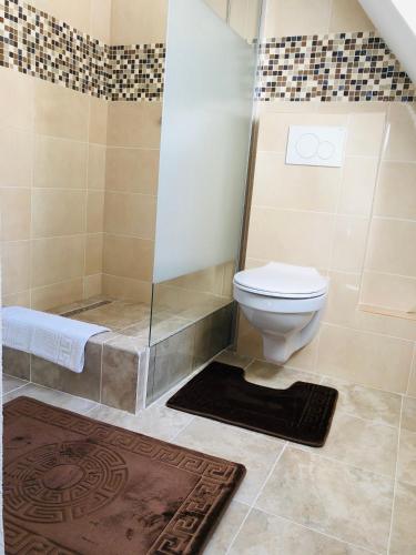 a bathroom with a toilet and a shower at Carla Maria S Hause in Gammertingen