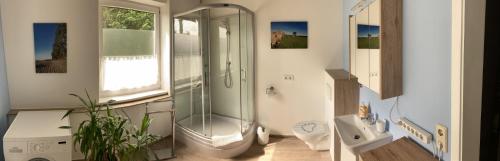 a bathroom with a shower and a toilet and a sink at Hoeperhof in Bötersen