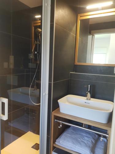 uma casa de banho com um lavatório, um espelho e um chuveiro em Studio de Lokentaz em Saint-Gildas-de-Rhuys