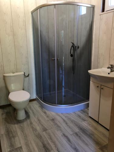 a bathroom with a shower and a toilet and a sink at Domki Letniskowe Kopań in Darłówko