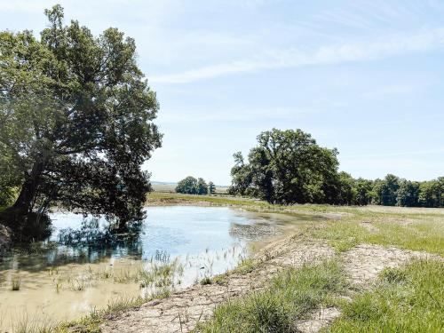 a body of water in a field with trees at Le Val Suzenay in Vendeuvre-sur-Barse