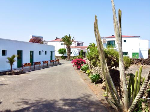 a driveway leading to a white building with palm trees at Surfescape Fuerteventura in Lajares
