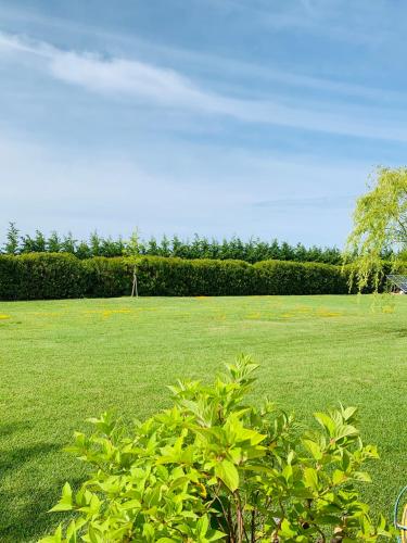 a field of green grass with a tree in the foreground at B&B Beauty House in Cesena