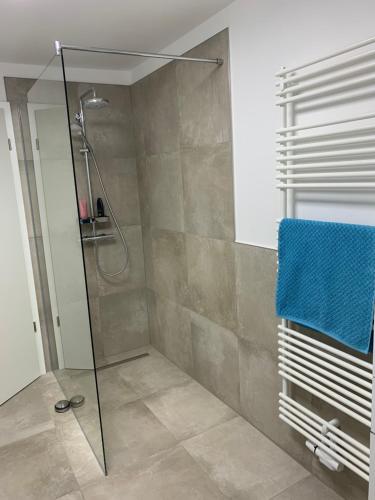 La salle de bains est pourvue d'une douche et d'une serviette bleue. dans l'établissement Mein Ankerplatz, à Travemünde