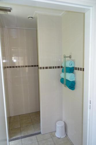 łazienka z prysznicem i niebieskimi ręcznikami w obiekcie Beekse Brink w mieście Loerbeek