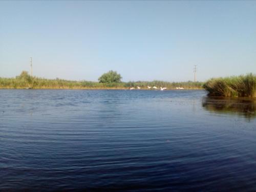 a large body of water with grass in the distance at Casa orizont in Sulina
