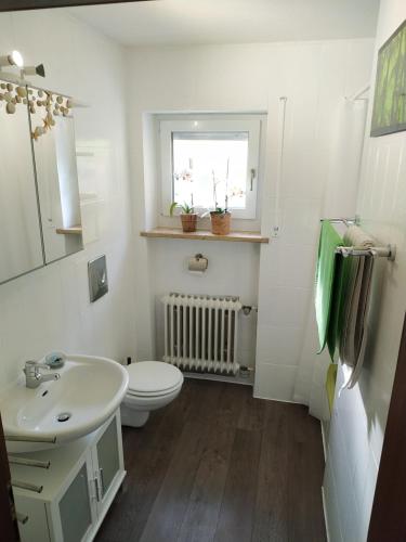 La salle de bains est pourvue d'un lavabo, de toilettes et d'une fenêtre. dans l'établissement Ferienwohnung Schloßgast im Oberen Donautal, à Hausen im Tal