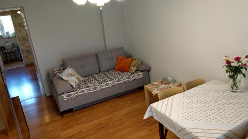 - un salon avec un canapé et une table dans l'établissement Apartament Jana z Kolna, à Ustka