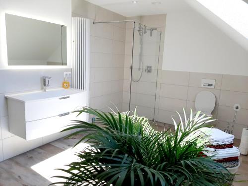 La salle de bains est pourvue d'un lavabo, d'une douche et d'une plante. dans l'établissement Ferienwohnung Bergele, à Rot an der Rot