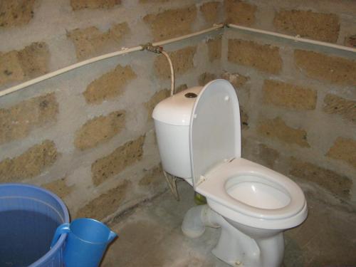 a bathroom with a white toilet in a brick wall at Vacation Home in Ashtarak in Ashtarak