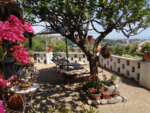 une terrasse avec un arbre, un banc et des fleurs dans l'établissement Chambres d'hôtes Les Terrasses du Soleil, à Cagnes-sur-Mer