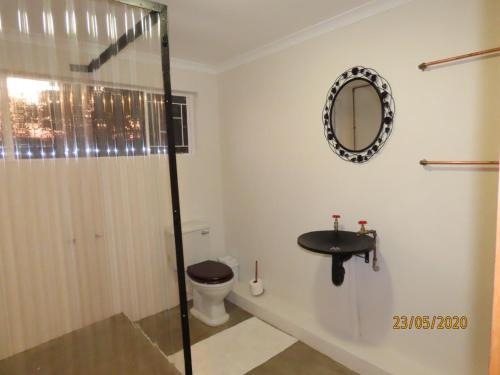 a bathroom with a toilet and a sink and a mirror at Landor Stud Farm Cottage in Magaliesburg