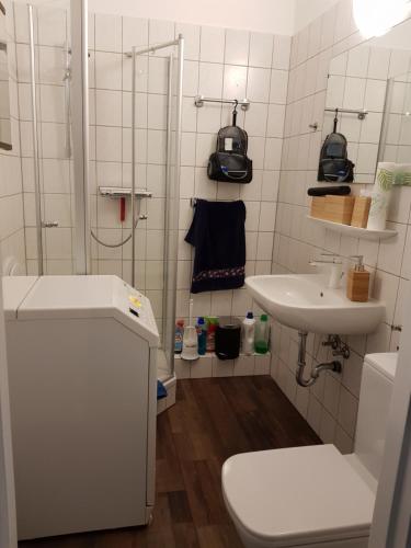 La salle de bains est pourvue d'une douche, de toilettes et d'un lavabo. dans l'établissement Am Landschaftsschutzgebiet, 3 Zimmer, nur mit Mietvertrag, à Halle-Neustadt