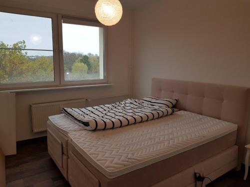 a bed in a room with two windows at Am Landschaftsschutzgebiet, 3 Zimmer, nur mit Mietvertrag in Halle-Neustadt