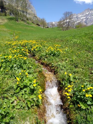 Gallery image of B&B Chalet Rustica Inden, Leukerbad in Inden
