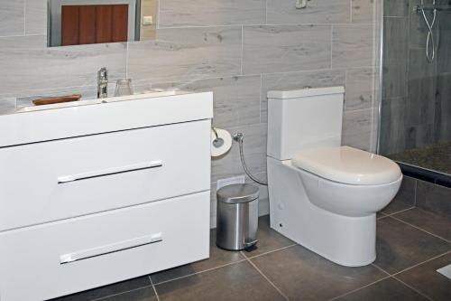 a white bathroom with a toilet and a sink at Ubytování Goliáš in Krásná Lípa
