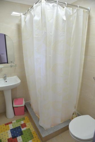 a bathroom with a toilet and a shower curtain at Casa Pedro in Blăjani