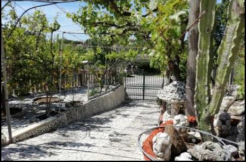 a group of stuffed animals sitting in a swing at casa dei limoni in Peschici