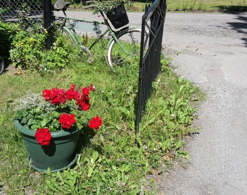 a flower pot with red flowers next to a fence at Rytterne Kyrkskola in Sorby
