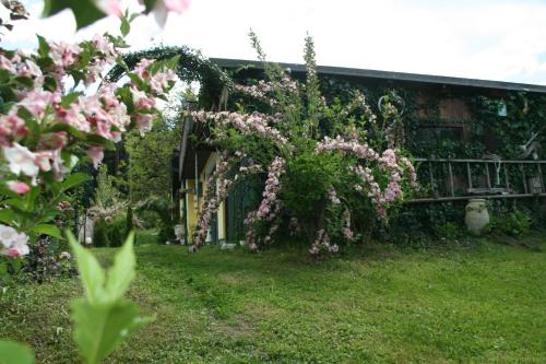 Κήπος έξω από το Chalet Damtschach