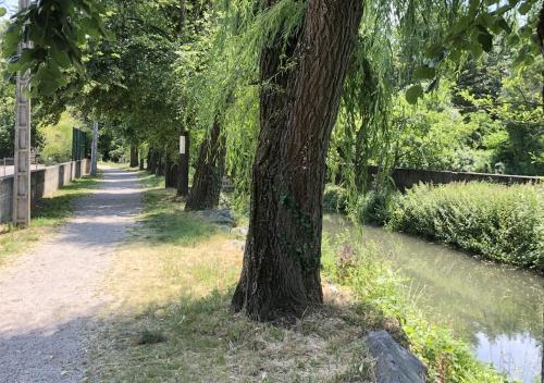 a row of trees lining a path next to a river at L'EMBLEME - BOUTIQUE HOTEL in Beaurepaire
