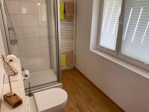 a bathroom with a shower and a toilet and a window at Hotel Garni Dünennest in Sankt Peter-Ording