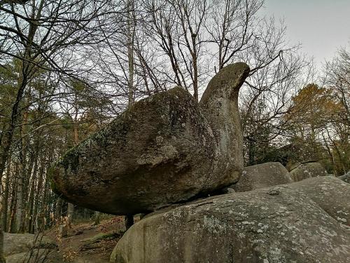 a statue of a bird sitting on a rock at Le Gîte de L'Adrech in Lacaune
