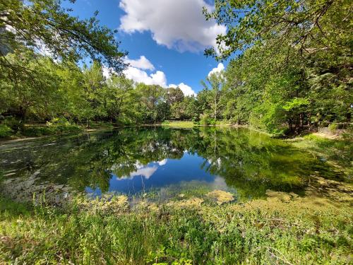 a reflection of the sky in a pond at Chiosi Country Club in Corleone