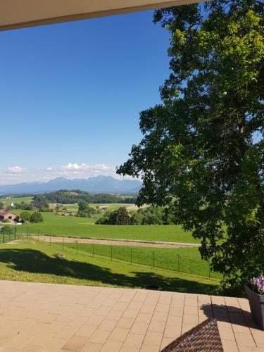 Pokrajina v okolici hotela