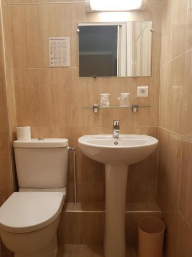 a bathroom with a toilet and a sink and a mirror at Hôtel Saint Sébastien in Lourdes