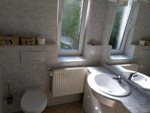 a bathroom with a sink and a toilet and windows at Bungalow Bauerngarten in Steffenshagen