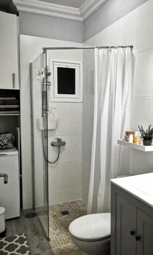 a bathroom with a shower and a toilet and a sink at El Mirador de Viana in Las Lagunas
