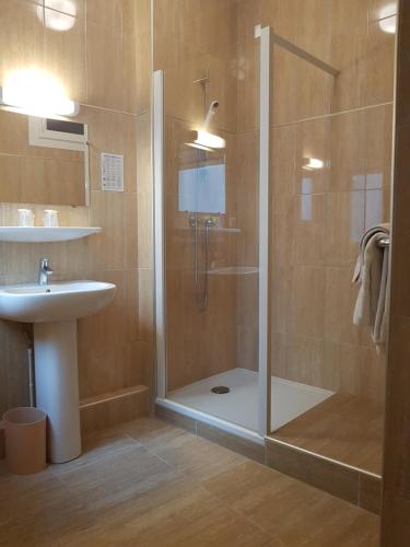 La salle de bains est pourvue d'une douche et d'un lavabo. dans l'établissement Hôtel Saint Sébastien, à Lourdes