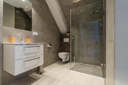 a bathroom with a shower and a toilet at Verde House in Karwia