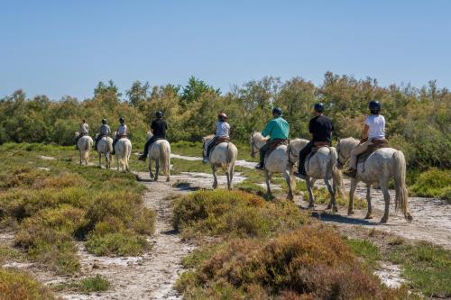 a group of people riding horses down a dirt road at Mas De Calabrun in Saintes-Maries-de-la-Mer