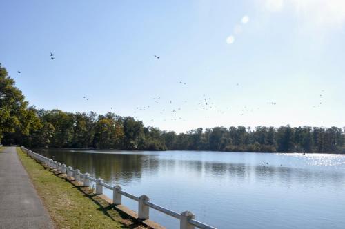 a lake with a fence and birds flying over it at Chambre d'Hôtes La Maisonnette in Étusson